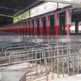 Pig Farming Equipment
