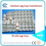 Paper Mold Pulp Egg Tray Packaging thumbnail-1