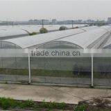 Hot Sale Multi Span Farm Machinery Greenhouse thumbnail-4
