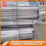 For Your Exclusive to Create the Glass Greenhouse thumbnail-5