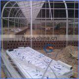 Polycarbonate Sheet for shopping center