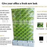 Double Sided Green Wall System for Office thumbnail-5