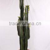 SJ3001107Ornamental Artificial Green Cactus Plants thumbnail-6