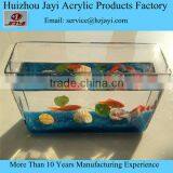 Hot Selling Aquarium Tank Fish thumbnail-1