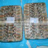 HLSO Cat Tiger Shrimps thumbnail-1