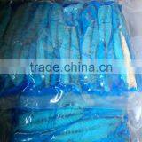 Frozen Mackerel Loins thumbnail-3