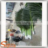 Wholesale Artificial Leaves Green Palm Tree Names of Tree Leaves Plastic Decorative Dried Palm Leaves thumbnail-5