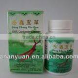 Cordyceps Capsule , Cordyceps Extract Capsule, OEM Service thumbnail-1
