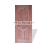 Plywood Molded Door Skin With Natural Sapelli thumbnail-1