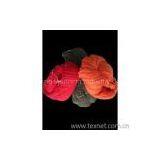 Pure Wool Syria Yarn thumbnail-1