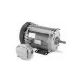Marathon Close-coupled Pumps Motors thumbnail-1