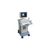 CMS600C/D Mobile Convex Ultrasound Scanner thumbnail-1