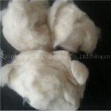 Baby Sheep Wool Waste thumbnail-1