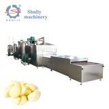 Garlic Drying Machine thumbnail-2