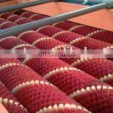 High Quality Egg Cleaning Machine,egg Washing Machine thumbnail-4