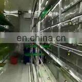 Hydroponic system orge forage machine for livestock fodder