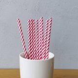 Red Small Striped Drinking Paper Straws