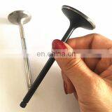 For Tata Hexa Indiga Ev2 Indigo E-cs Mahic Iris Series Motor Engine Parts Engine Valve thumbnail-6