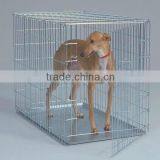 Pet Carrier