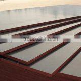 Cheap Price Black Film Faced Plywood Linyi Factory thumbnail-3