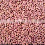 Raw Peanuts 28/32 From China thumbnail-1