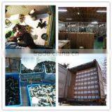 Danyang Xinyi Instruments Optical Co., Ltd. company overview - view 2 thumbnail