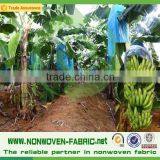 Spun Bond Non Woven for Agriculture Non-woven Banana Bag