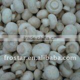 IQF Frozen Mushroom 2012 thumbnail-1