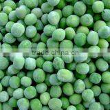IQF Frozen Green Pea and Frozen Vegetables in a Hot Sale