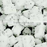 BEST PRICE FRESH DRAGON FRUIT thumbnail-2