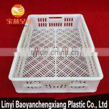 605x420x130mm Plastic Storage Basket for Freezing Duckling, Chicken, Food Transportation thumbnail-4
