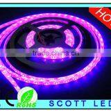 2014 Promotion !rgb Smd 3528 Led Light 12v 240led Ip65 Flexible Strip Led/ Rgb Smd 3528 Led Light