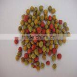 800-1000kg/h Twin Screw Extruder Pet Food Machine thumbnail-6