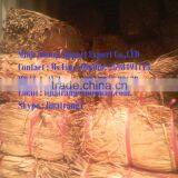 Water Hyacinth Fiber Qiu Qiu : 2598494113 thumbnail-5