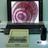 Patent MDA2000R Handheld USB Digital Microscope With Reticle Measurement Function for Education and Research