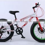Trade assurance 2015 DIY snow bike/bicycle/cycling with fat 4.0 tire ,OEM available, made in China