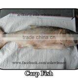 Carp Fish (Cyprinus Carpio) thumbnail-1