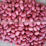 2011 Crop Red Peanut in Shell thumbnail-1