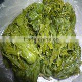 Frozen Wakame Stem Cut Salted for Seaweed Salad (hiyashi Wakame) thumbnail-3