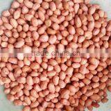 Chinese Round Shape Raw Ground Nut Kernels thumbnail-1