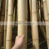 Eco-friendly Cheap Grabbing Bamboo Pole for Support thumbnail-2