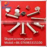 Stainless Steel Binding Post Screw thumbnail-5