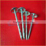 Top Quality Plastic Washers for Roofing Nails Trusted Chuanghe Suppliers From Com thumbnail-2