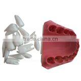 Handmade Plastic Dental Jaws Human Teeth Model thumbnail-4