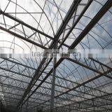 Cheap Chinese Tunnel PVC/PE Greenhouse for Sale thumbnail-5