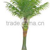 EY8421-19-1LS Artificial Tree Fake Plastic Plant 2.2m Bonsai Artifical Plant thumbnail-1