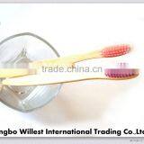 100% Eco-friendly Colorful Toothbrush thumbnail-3