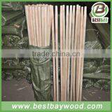 High Quality Wooden Tool Handle for Farms,garden thumbnail-3