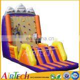 Giant Cheap Rock Climbing Wall for Sale
