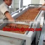 Automatic factory price cashew nut sheller cashew nut peel removing machine kernel shell separation machine